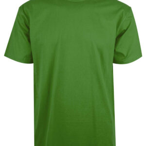 Grøn t-shirt fra Camus